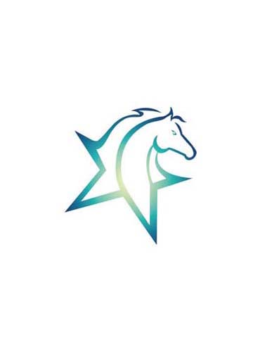 The Hong Kong Jockey Club – The Rising Star Programme (Branding Design, Visual Identity & Logo System Design)